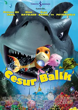 8050网