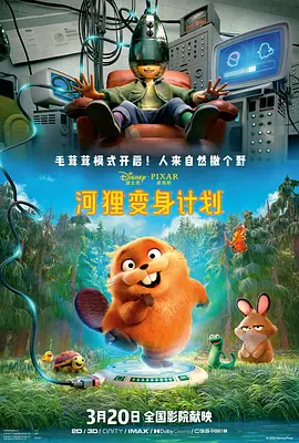 帅哥飞机