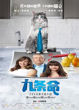 隔壁的女人