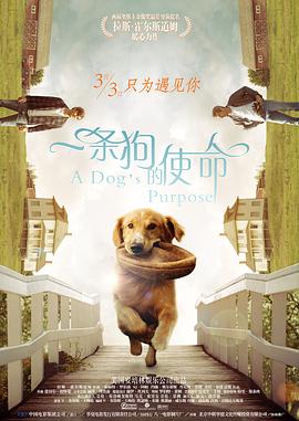 柔软的按摩