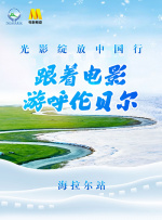 美国一级毛片免费