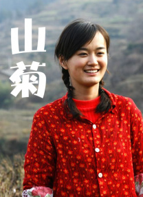 pr九尾狐狸