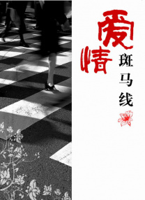久久精品国产亚洲aa